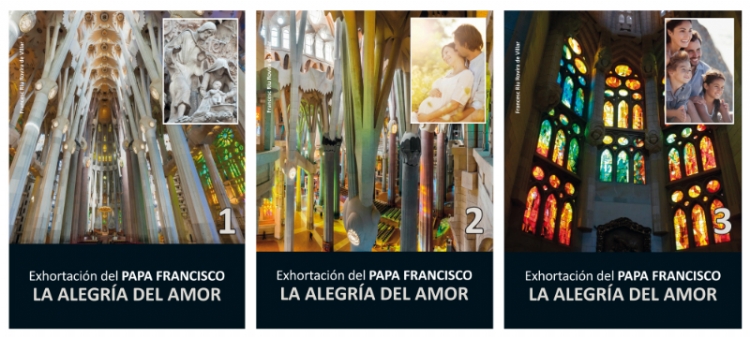 Francesc Riu acerca al público la Amoris Laetitia