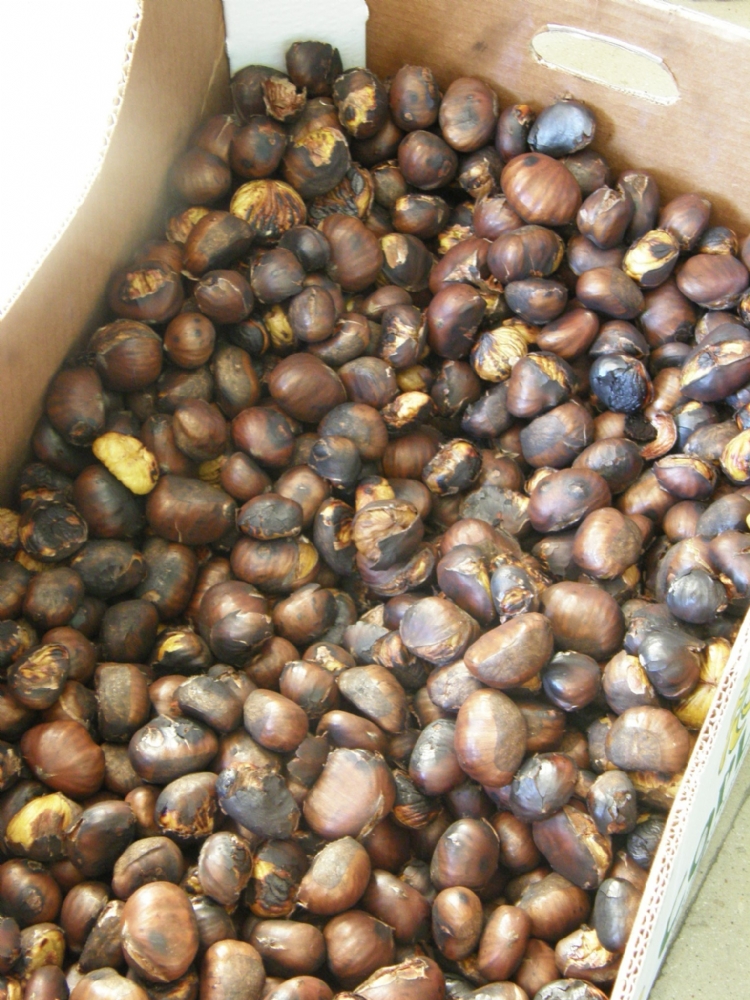 Las Castañas, una tradición salesiana