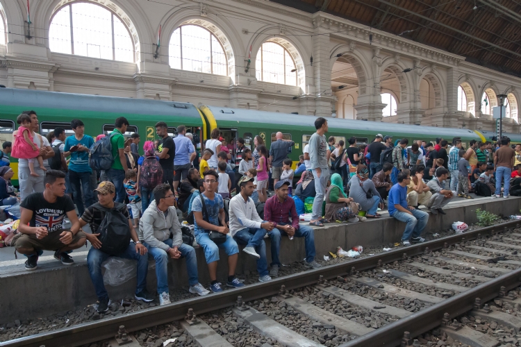 Preparados para la acogida de Refugiados
