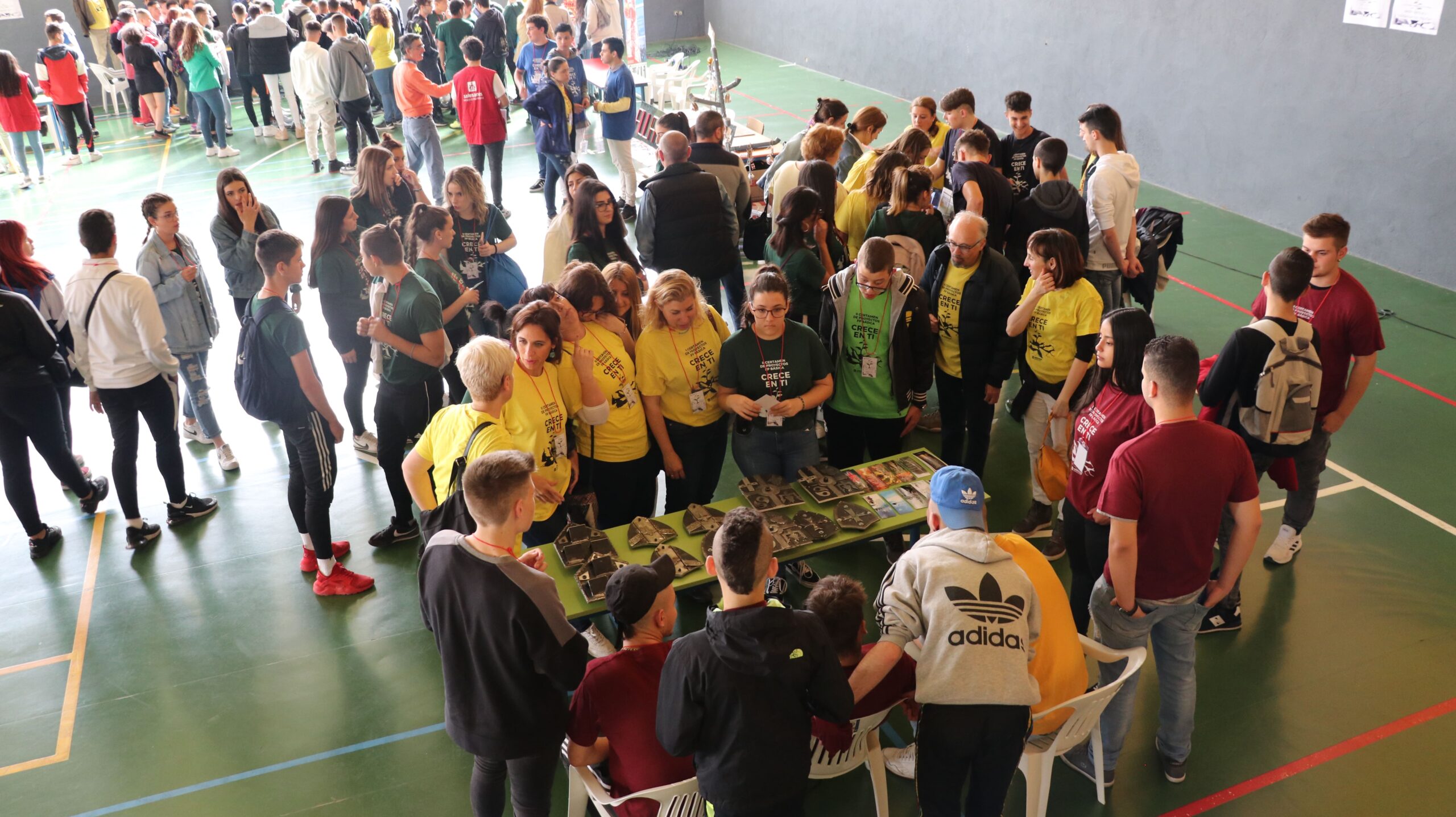20190513-FPBasica (4)