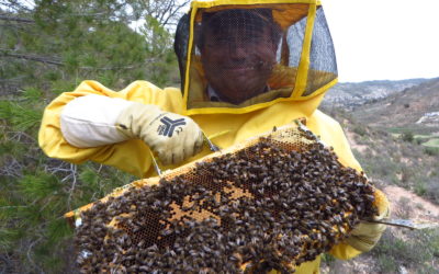 Atanasio Serrano: “Sin las abejas peligra la misma existencia humana”