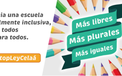 La Plataforma Más Plurales pide el apoyo de las familias en defensa de la libertad de educación