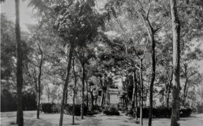 Foto con Historia: El Jardín de Salesianos Carabanchel