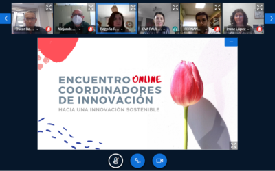 Celebrado en formato online el Encuentro de Coordinadores de Innovación